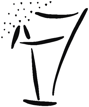 Image of the occurrence